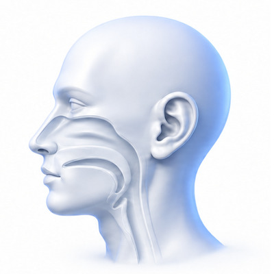 Otolaryngology